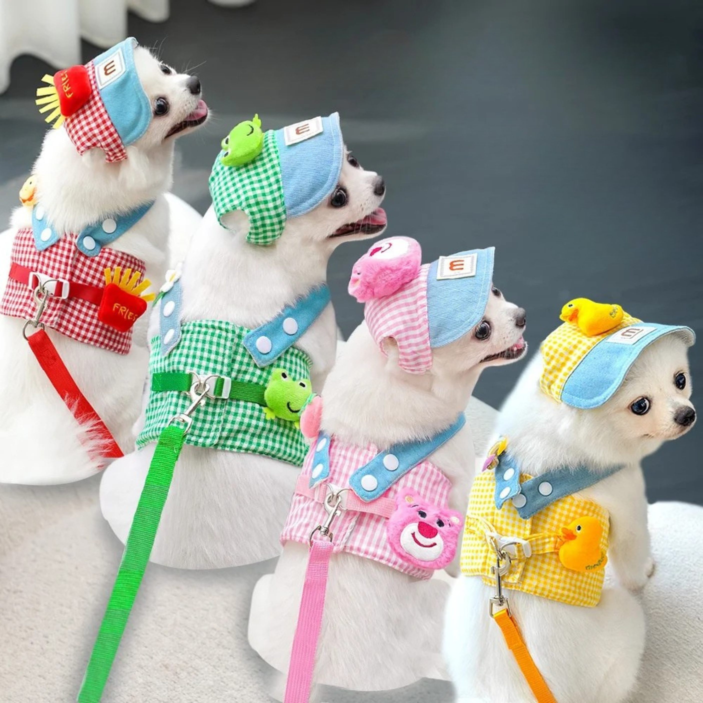 Maltipoodle