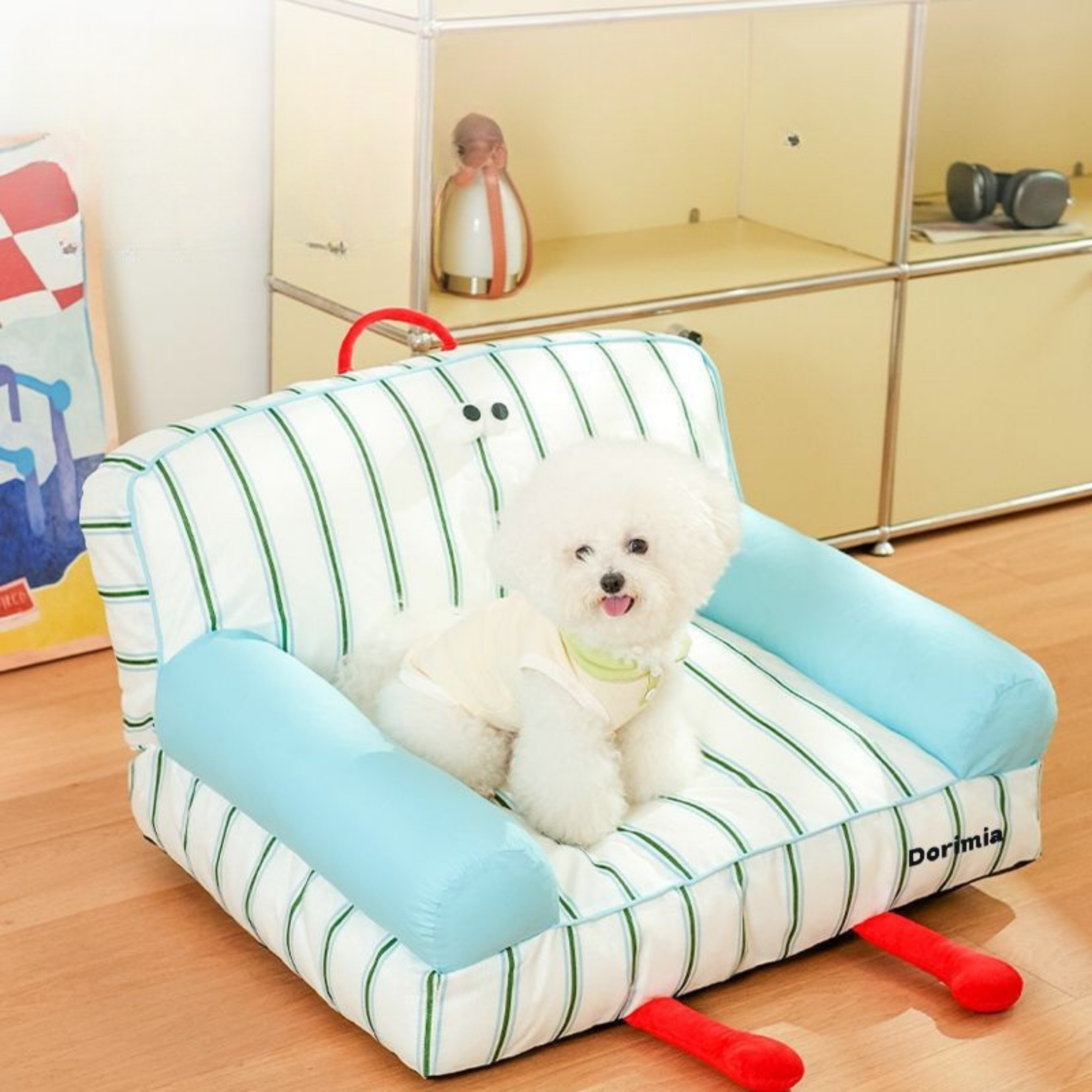 Maltipoodle